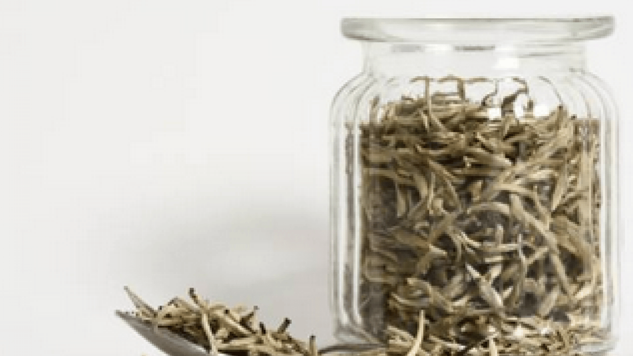 Foto - Cilt sağlığından bağışıklığa... Beyaz çay nedir, beyaz çay neye iyi gelir?