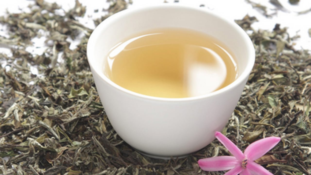 Foto - Cilt sağlığından bağışıklığa... Beyaz çay nedir, beyaz çay neye iyi gelir?