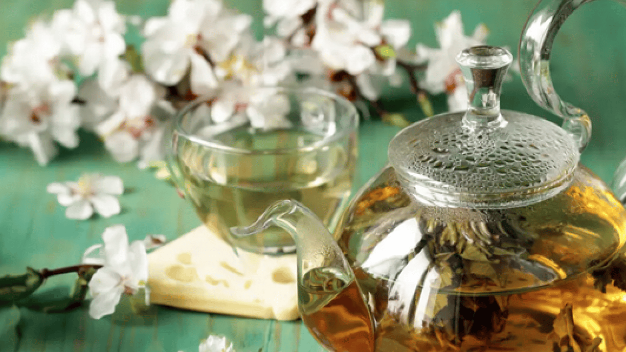 Foto - Cilt sağlığından bağışıklığa... Beyaz çay nedir, beyaz çay neye iyi gelir?