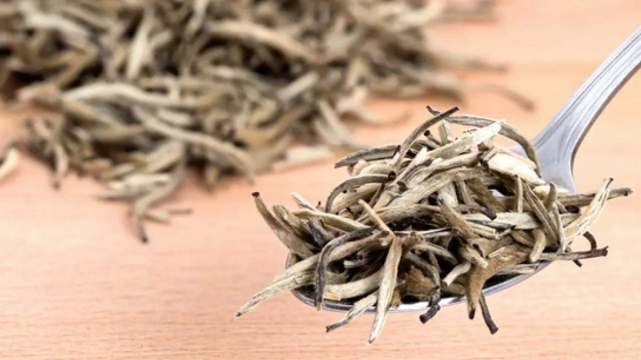 Foto - Cilt sağlığından bağışıklığa... Beyaz çay nedir, beyaz çay neye iyi gelir?