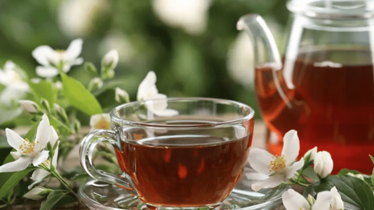 Foto - Cilt sağlığından bağışıklığa... Beyaz çay nedir, beyaz çay neye iyi gelir?