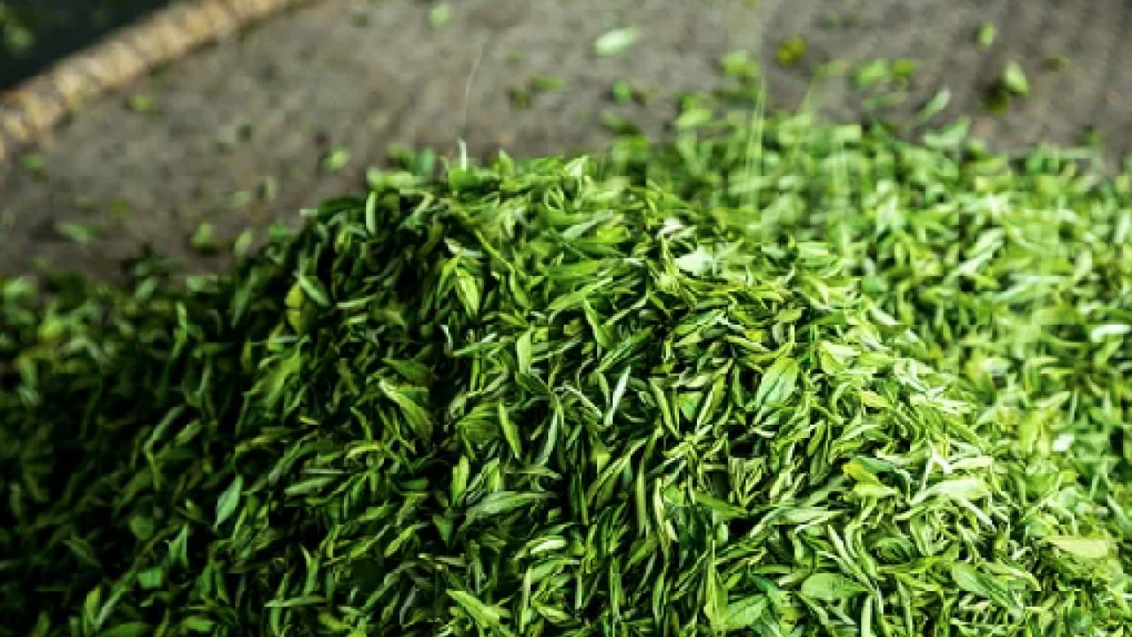 Foto - Ciltteki kolajen yıkımını durduruyor! Faydaları saymakla bitmiyor! Cilt bakım rutini mi?