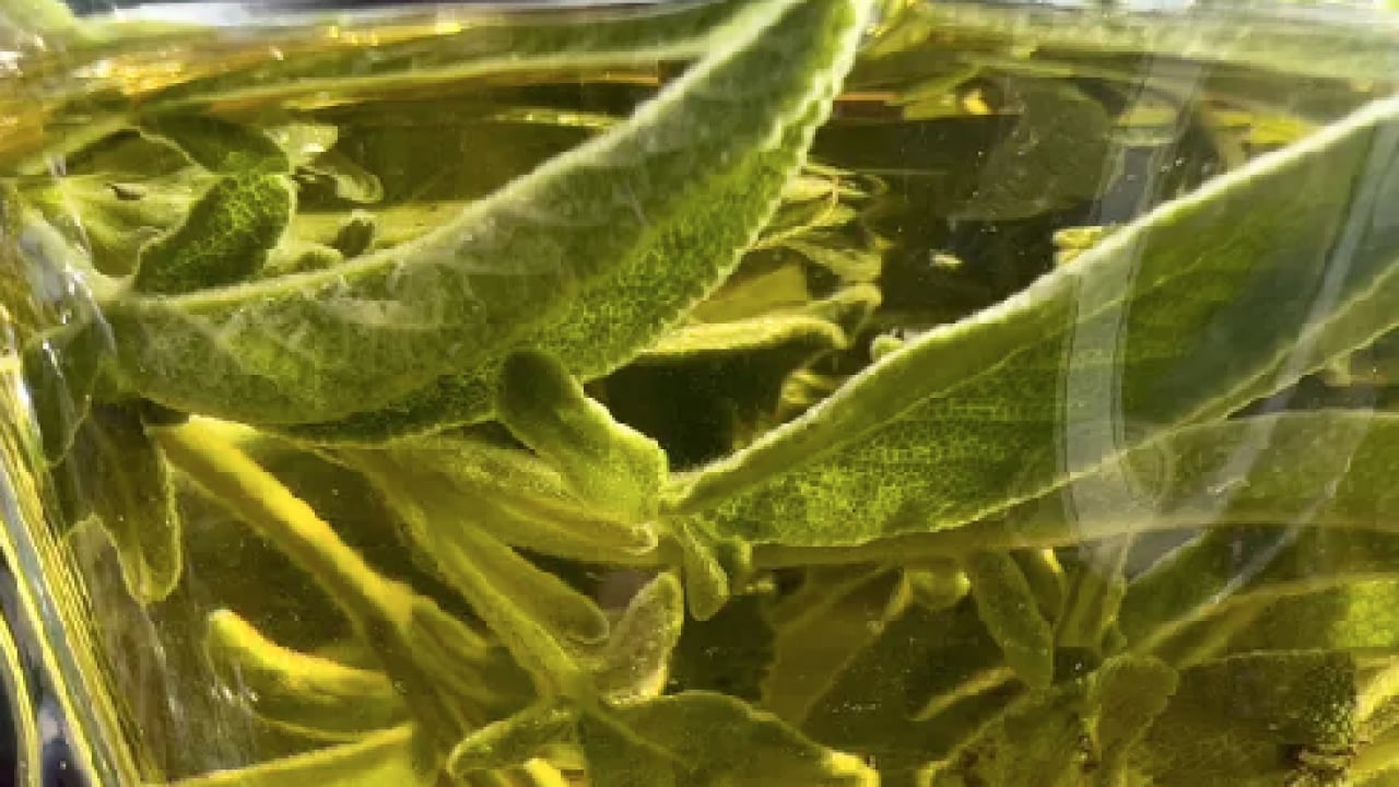 Foto - Ciltteki kolajen yıkımını durduruyor! Faydaları saymakla bitmiyor! Cilt bakım rutini mi?