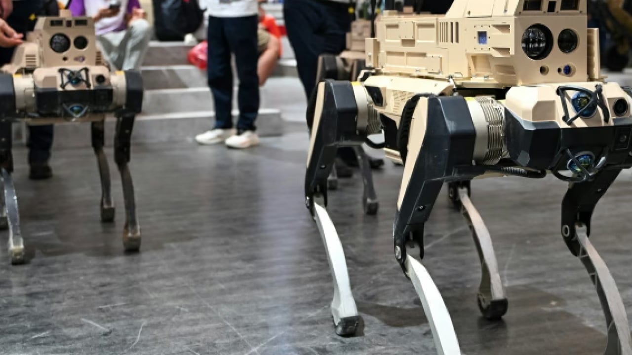 Foto - Çin çamaşır, bulaşık yıkayan, yemek yapabilen ev robotu yerine şimdi de 'robot kurt'unu tanıttı