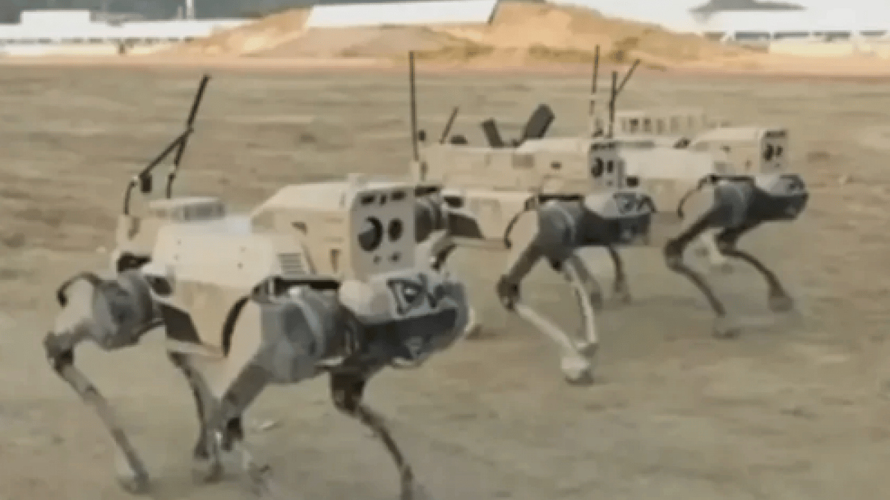 Çin çamaşır, bulaşık yıkayan, yemek yapabilen ev robotu yerine şimdi de 'robot kurt'unu tanıttı