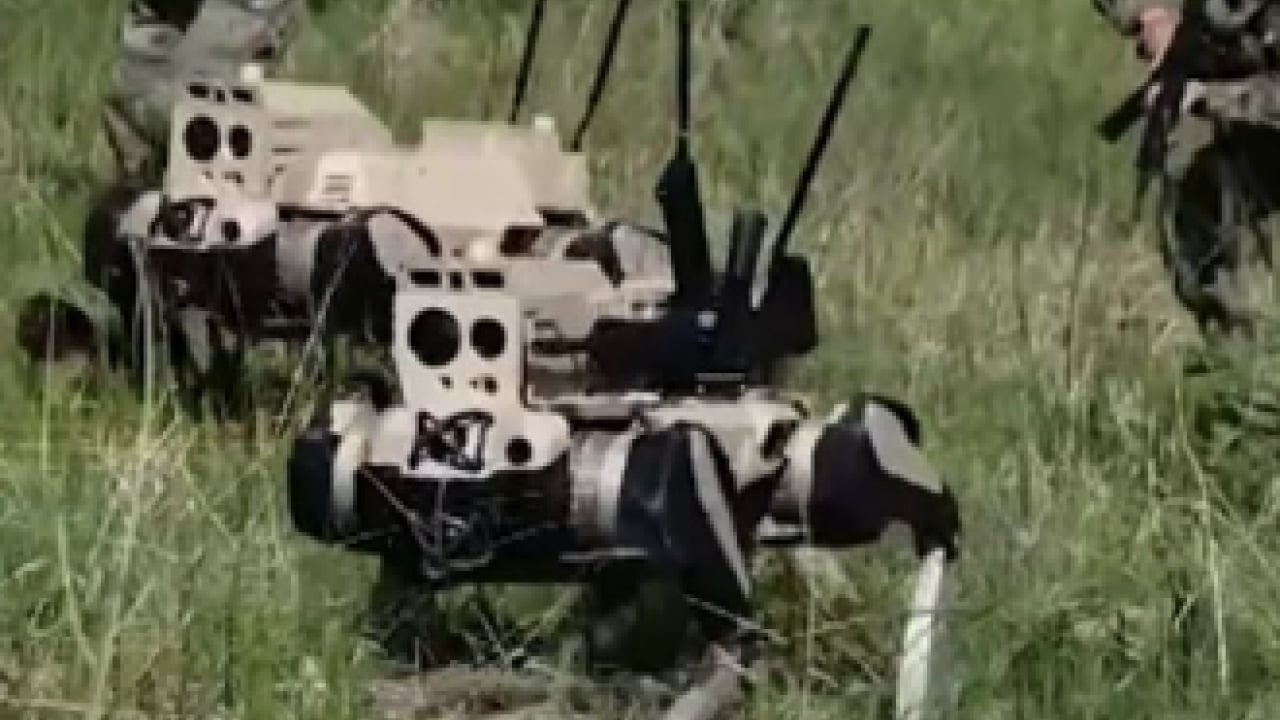 Foto - Çin çamaşır, bulaşık yıkayan, yemek yapabilen ev robotu yerine şimdi de 'robot kurt'unu tanıttı