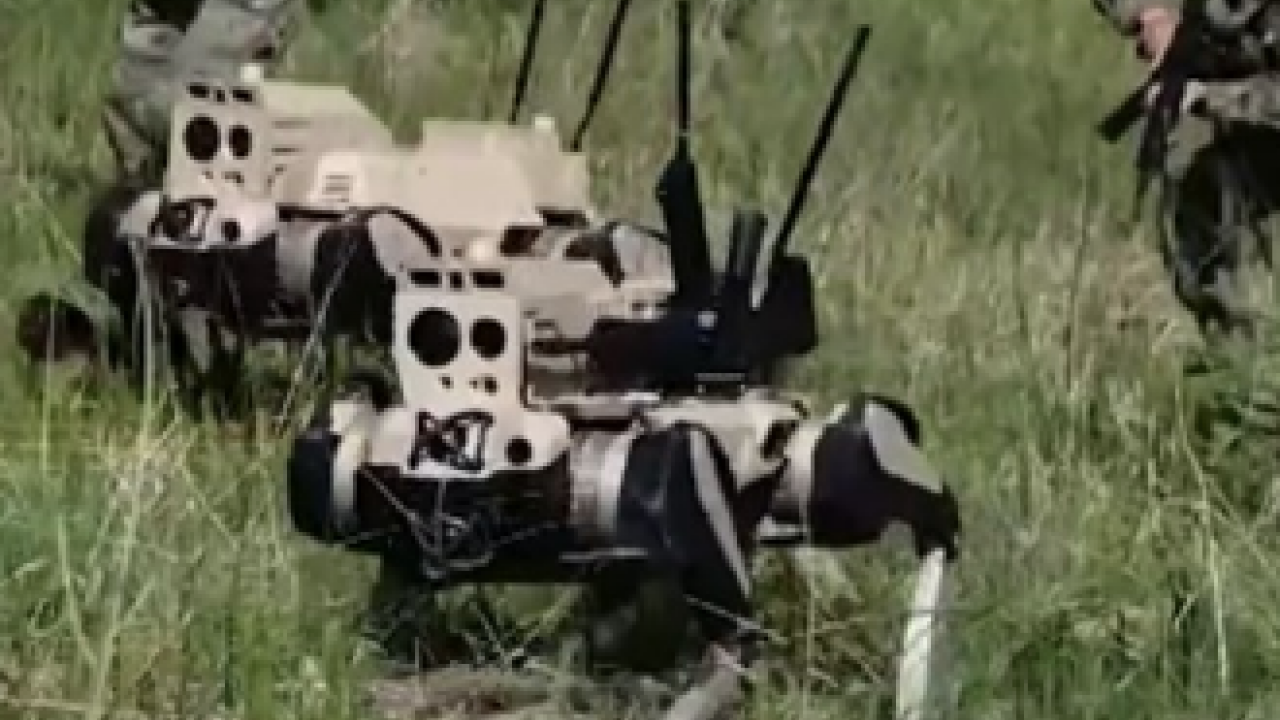 Foto - Çin çamaşır, bulaşık yıkayan, yemek yapabilen ev robotu yerine şimdi de 'robot kurt'unu tanıttı