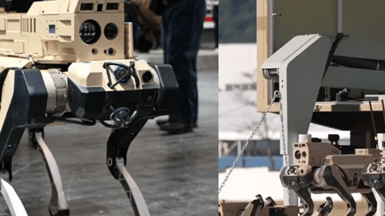 Foto - Çin çamaşır, bulaşık yıkayan, yemek yapabilen ev robotu yerine şimdi de 'robot kurt'unu tanıttı