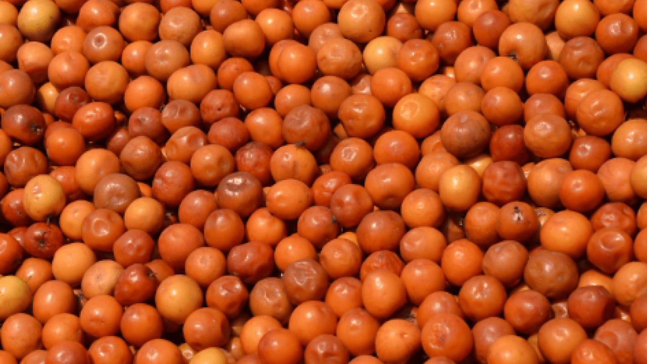 Foto - Damarları açıyor, kanı temizliyor: İşte dünyanın en güçlü antioksidanı!