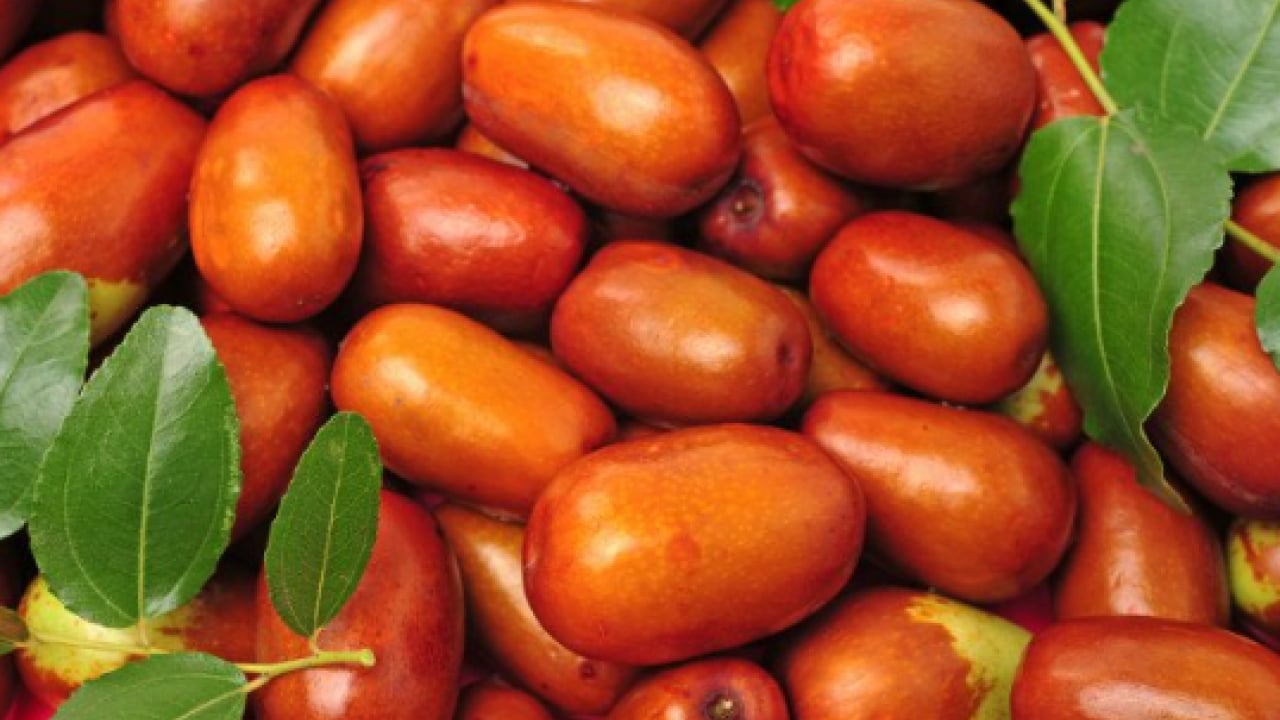 Foto - Damarları açıyor, kanı temizliyor: İşte dünyanın en güçlü antioksidanı!