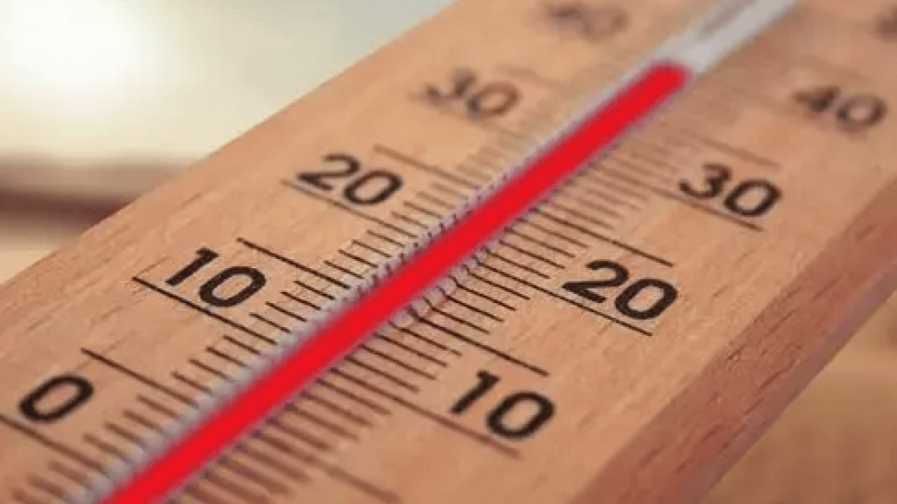 Foto - Çin'in gazetesi duyurdu: Doktorlar gördüğüne inanamadı! 20 yıl karnında termometre ile yaşadı