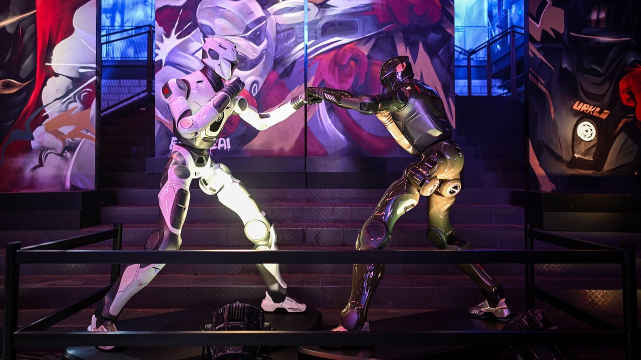 Çin'in insansı robotları kafes dövüşünde