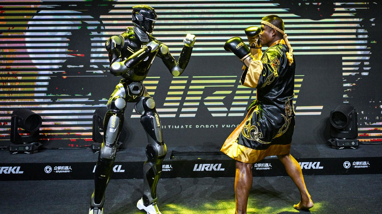 Foto - Çin'in insansı robotları kafes dövüşünde