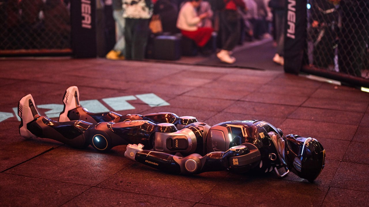 Foto - Çin'in insansı robotları kafes dövüşünde