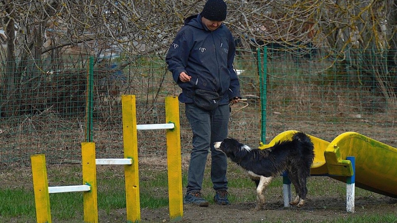 Foto - Çobanların heyecanlı ve hareketli yeni yardımcısı