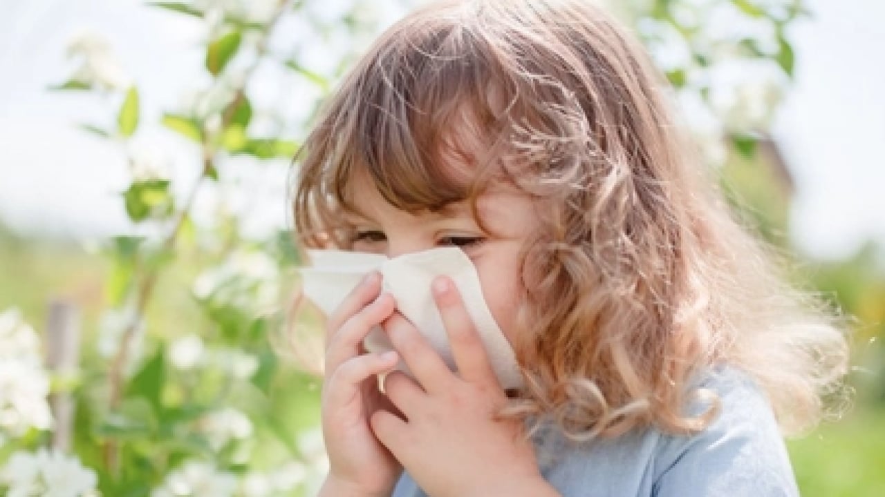 Foto - Çocuklarda bahar alerjisi: Alerjik rinit belirtileri ve korunma yolları görülme olasılığı!