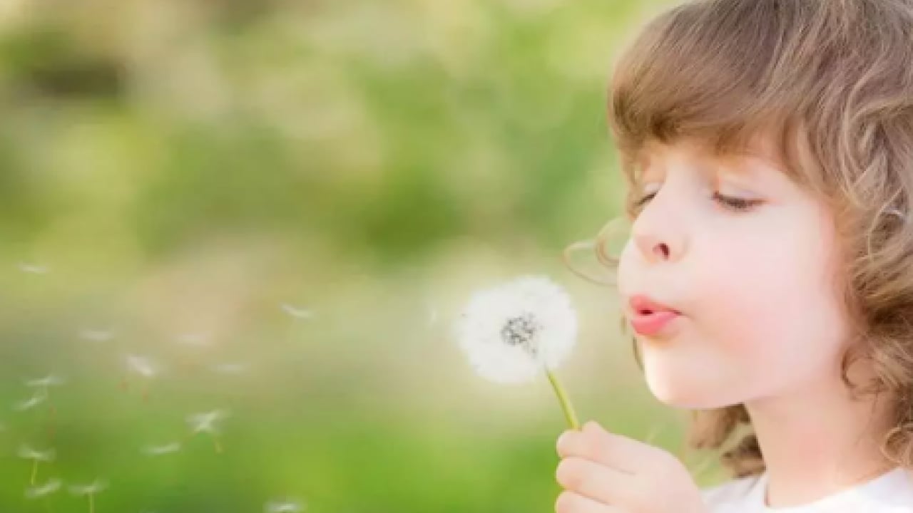 Foto - Çocuklarda bahar alerjisi: Alerjik rinit belirtileri ve korunma yolları görülme olasılığı!