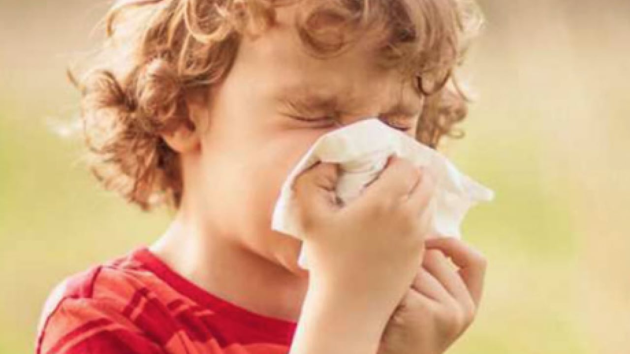 Foto - Çocuklarda bahar alerjisi: Alerjik rinit belirtileri ve korunma yolları görülme olasılığı!