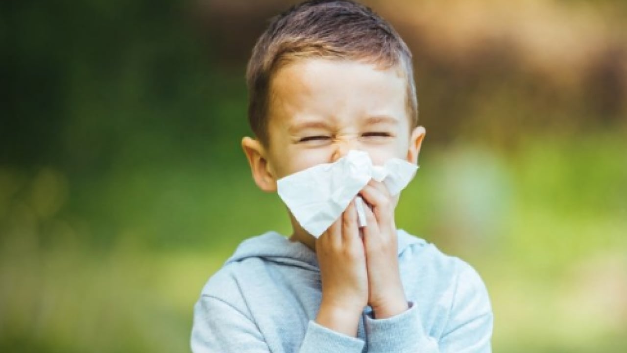 Foto - Çocuklarda bahar alerjisi: Alerjik rinit belirtileri ve korunma yolları görülme olasılığı!