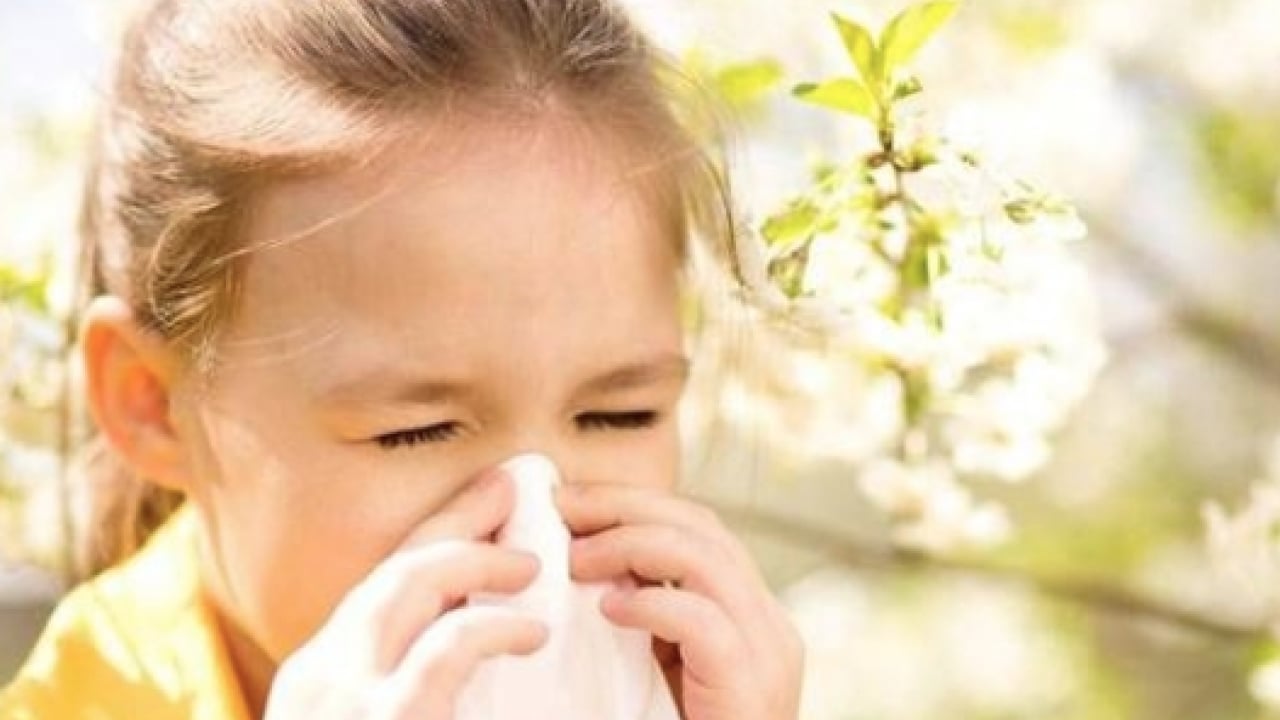 Foto - Çocuklarda bahar alerjisi: Alerjik rinit belirtileri ve korunma yolları görülme olasılığı!