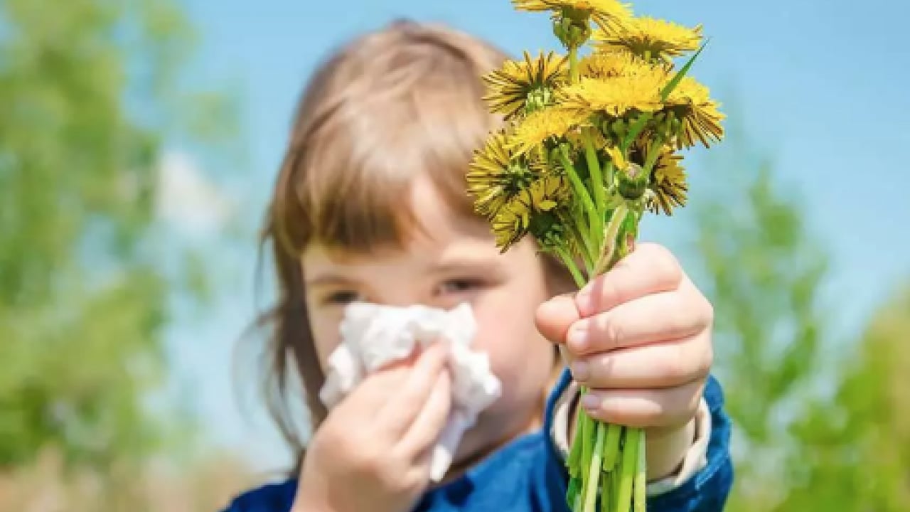 Foto - Çocuklarda bahar alerjisi: Alerjik rinit belirtileri ve korunma yolları görülme olasılığı!