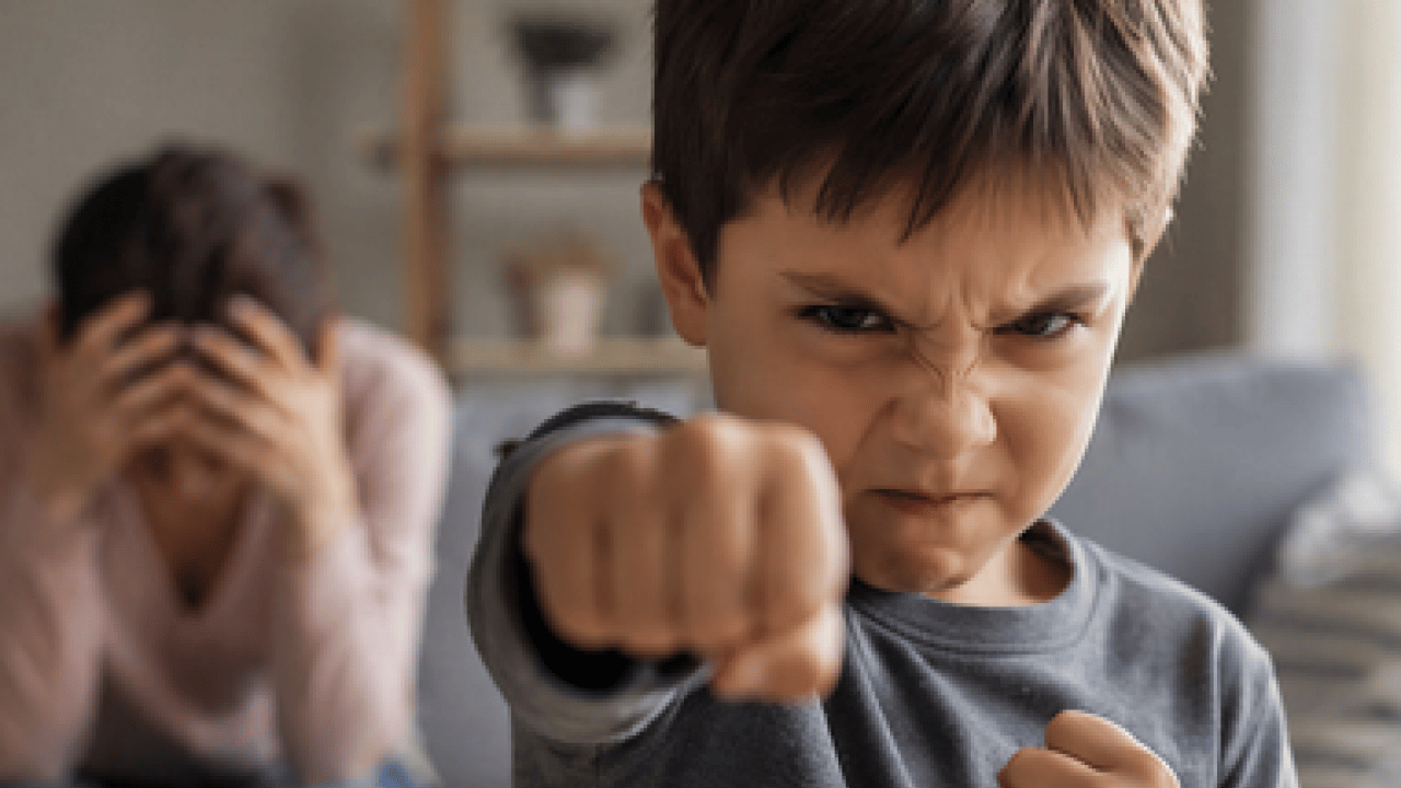 Çocuklarda şiddet eğilimi neden artıyor? Mafyatik ilişkilerin ön plana çıktığı...