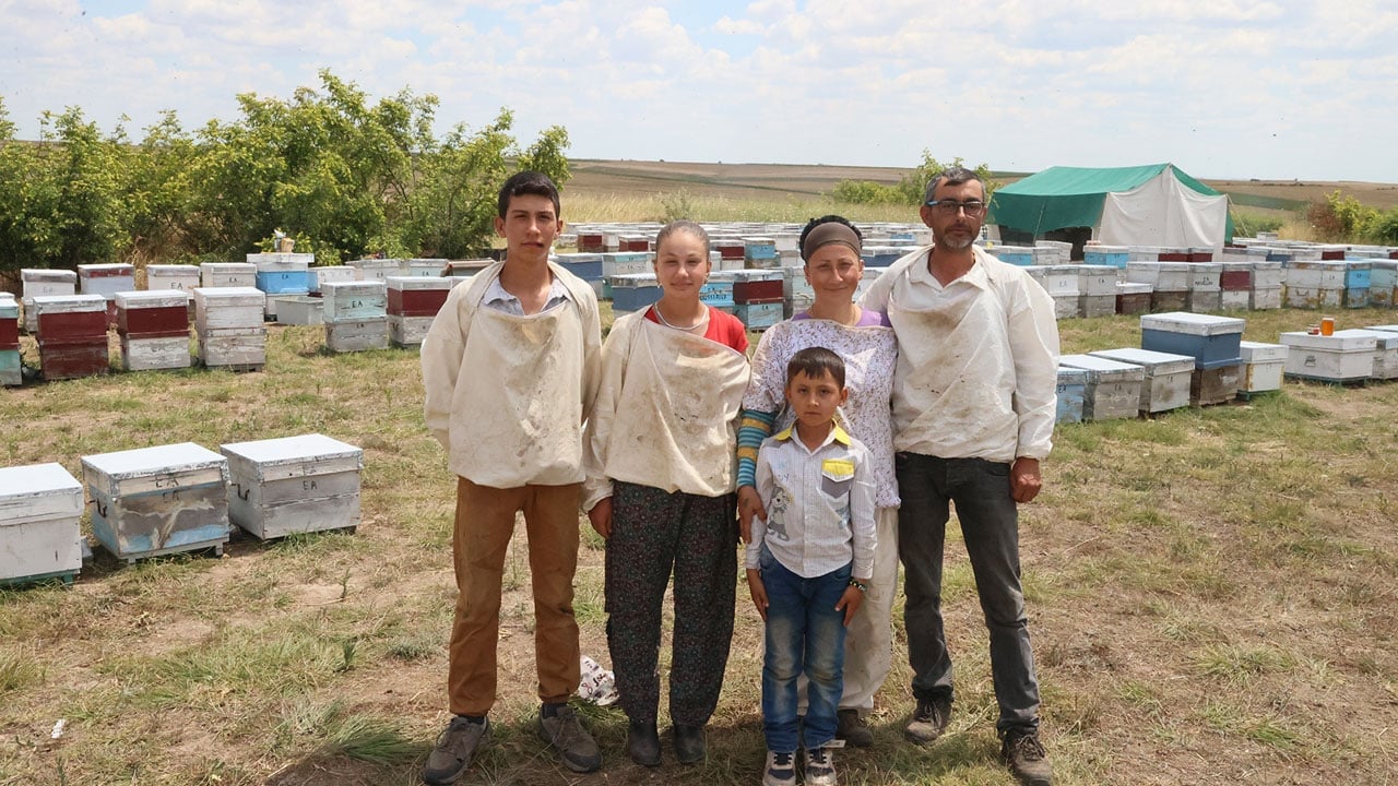Foto - Çocukları arıların yanında büyüttüler! Bal peşinde il il geziyorlar