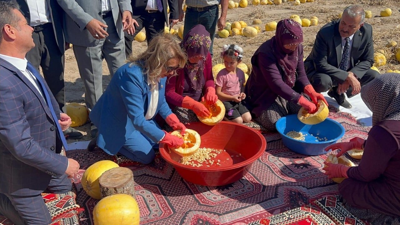 Foto - Coğrafi işaretli kabak çekirdeğine yabancı turistler de yoğun ilgi gösteriyor