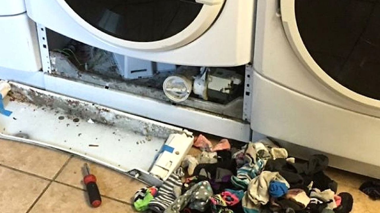 Foto - Çoğumuz bu sorunu yaşıyoruz! Çamaşır makinesinde kaybolan çoraplar nereye gidiyor?