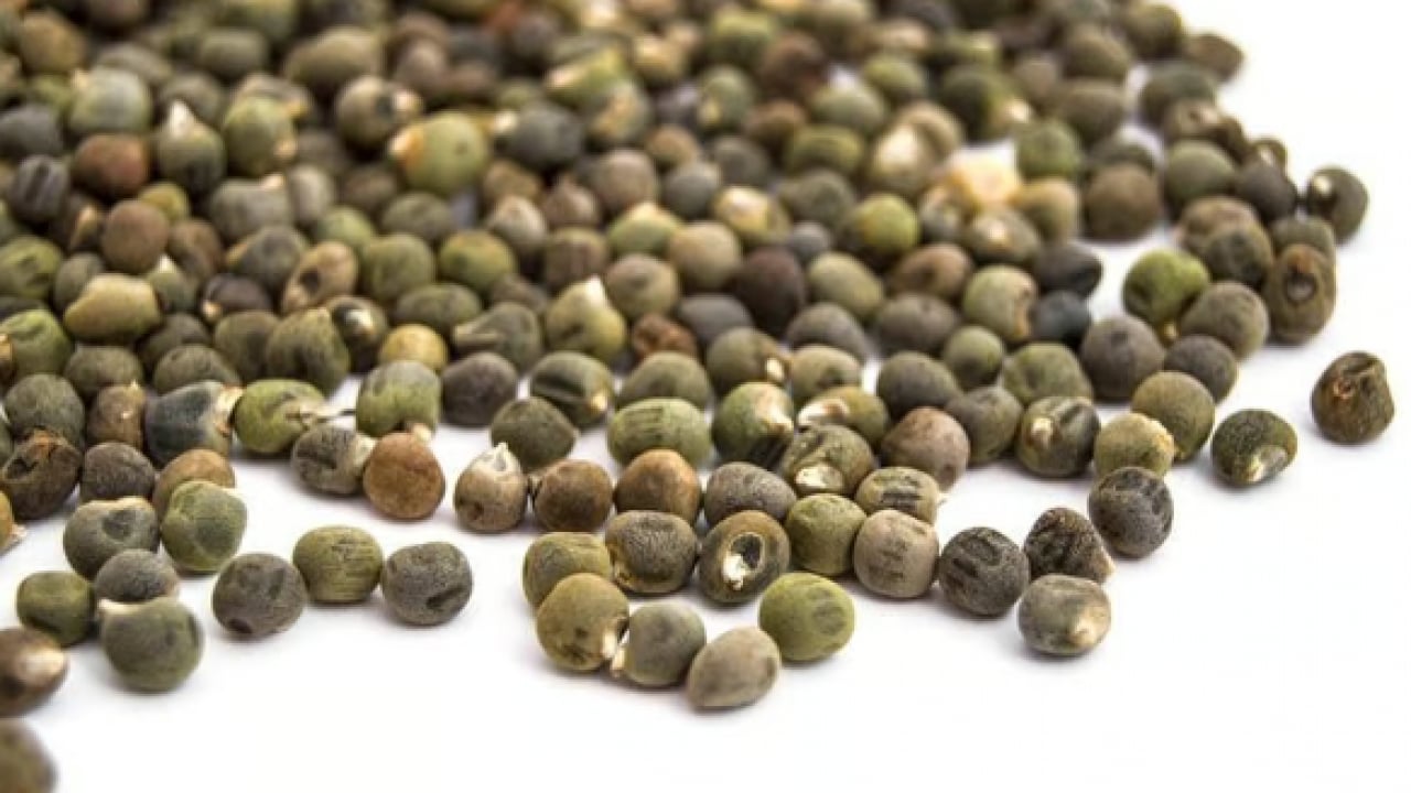 Foto - İsmi duyulunca burun kıvrılıyor ama: Hafızayı çelik gibi yapıyor!