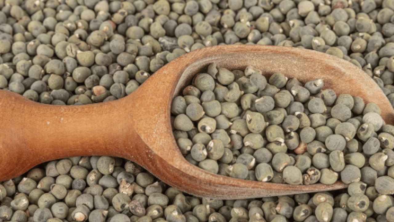 Foto - İsmi duyulunca burun kıvrılıyor ama: Hafızayı çelik gibi yapıyor!