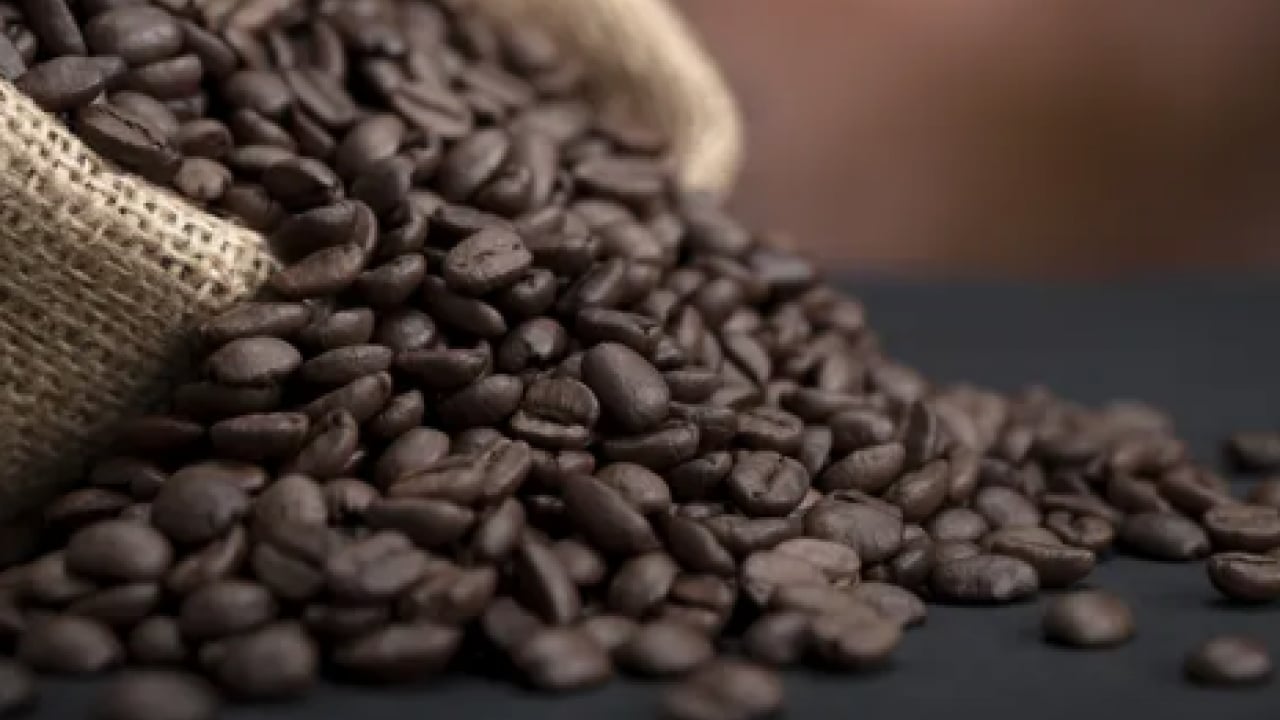 Foto - Çok ama çok şaşıracaksınız... Dolabın içine kahve çekirdeği bırakınca...
