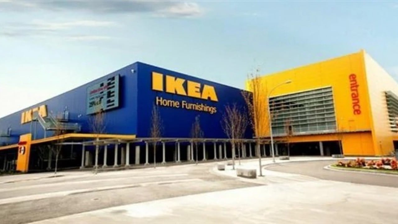 Foto - Çok konuşulacak gelişme: Mobilya devi 240 kilometrekarelik orman satın alıyor