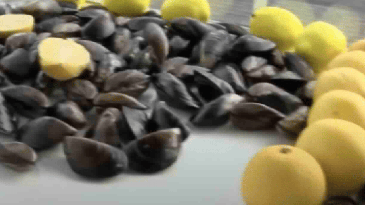 Foto - Çok sayıda ilde alarm durumuna geçildi! Bakanlık uyarı yayınladı!