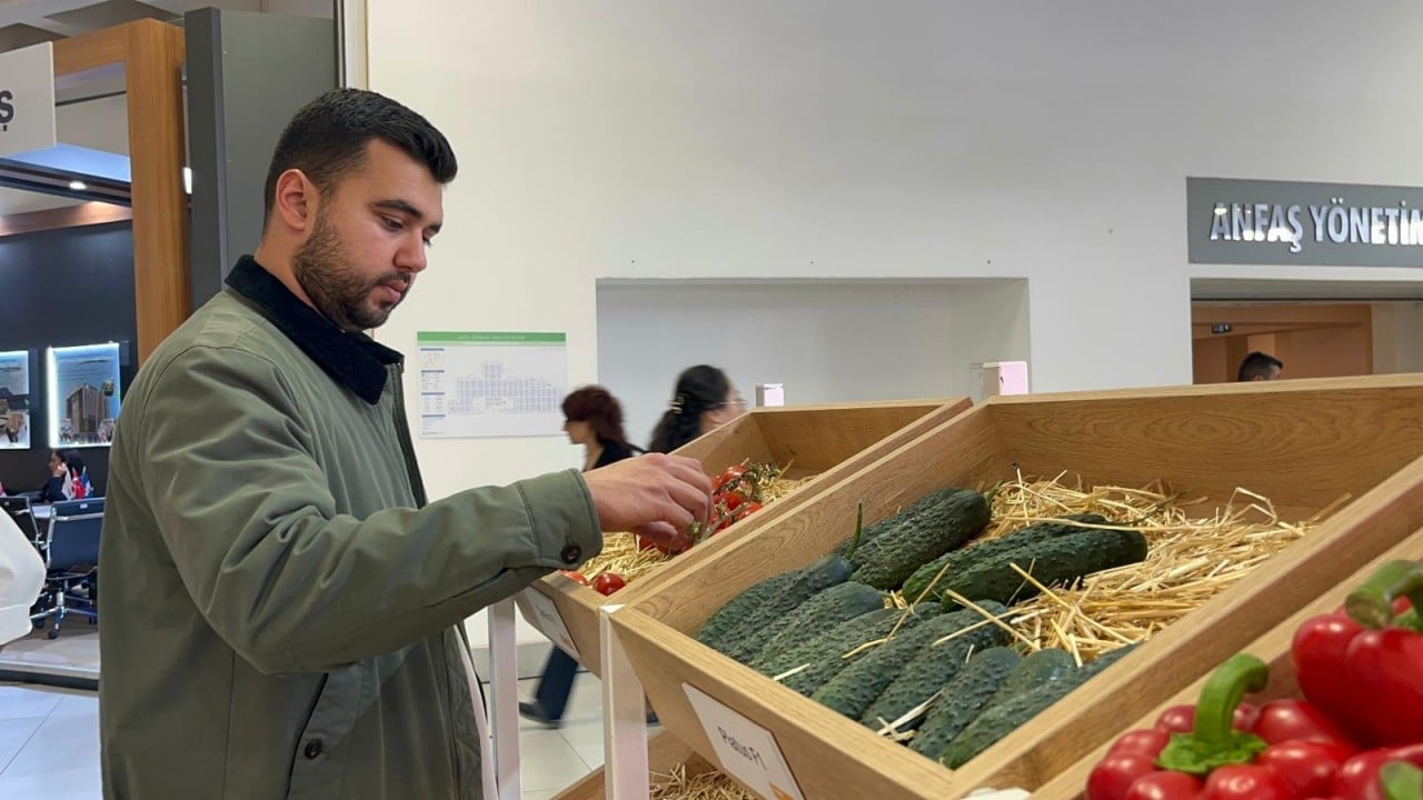 Foto - Çok sayıda ülke Türkiye’den ithal ediyor! Tohumu bizden yemesi sizden