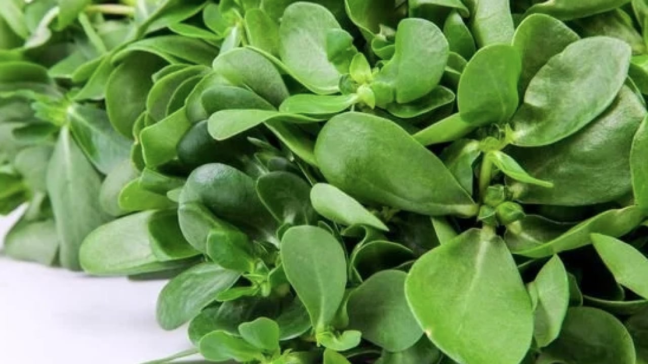 Foto - Çok sevilen en değerli yaz sebzesi: Tüketince tam bir oyun değiştirici oluyor! Lif açısından zengin vitamin deposu