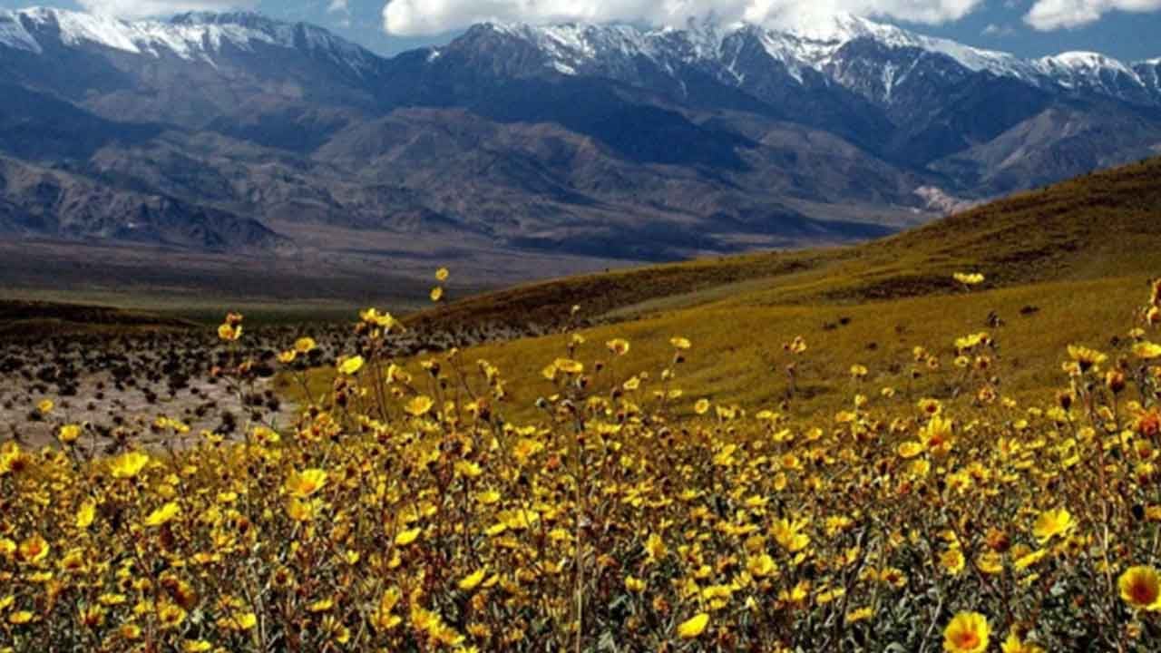 Foto - Çölün ortasında ortaya çıktı! Herkes 'kıyamet alameti mi?' diye birbirine sormaya başladı