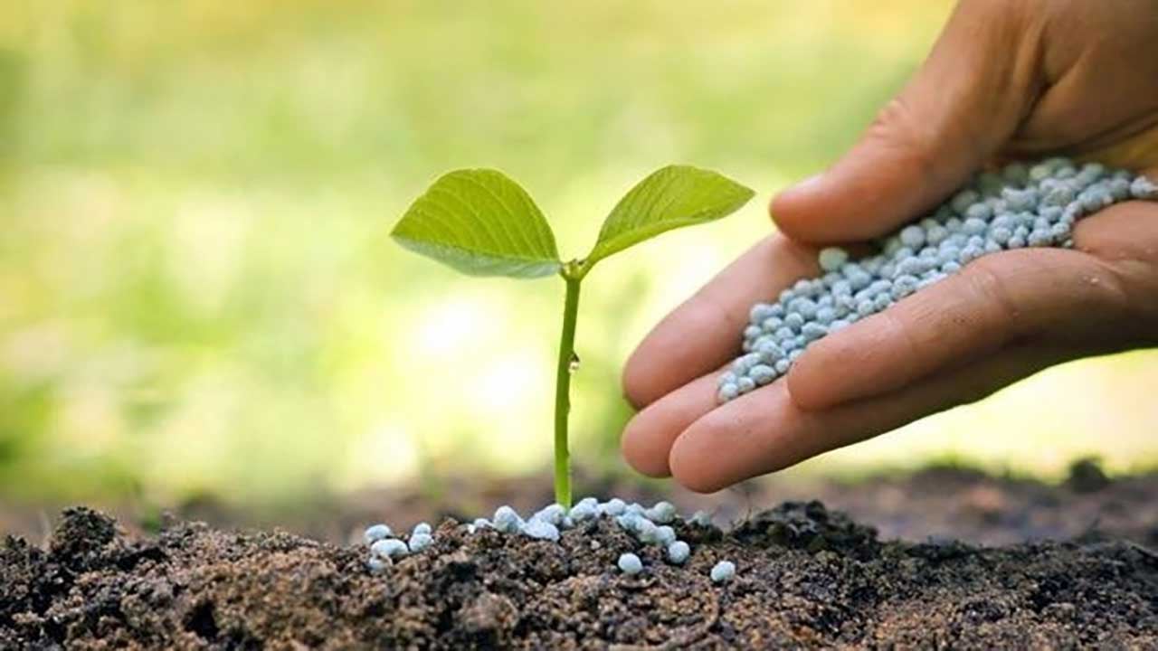 Foto - Çöp bataryalardan tarım devrimi! Elektrikli araç atıkları tarlalara bereket saçacak!