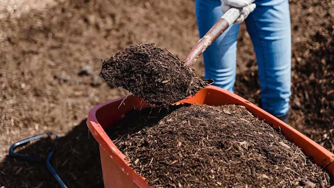 Foto - Çöp bataryalardan tarım devrimi! Elektrikli araç atıkları tarlalara bereket saçacak!
