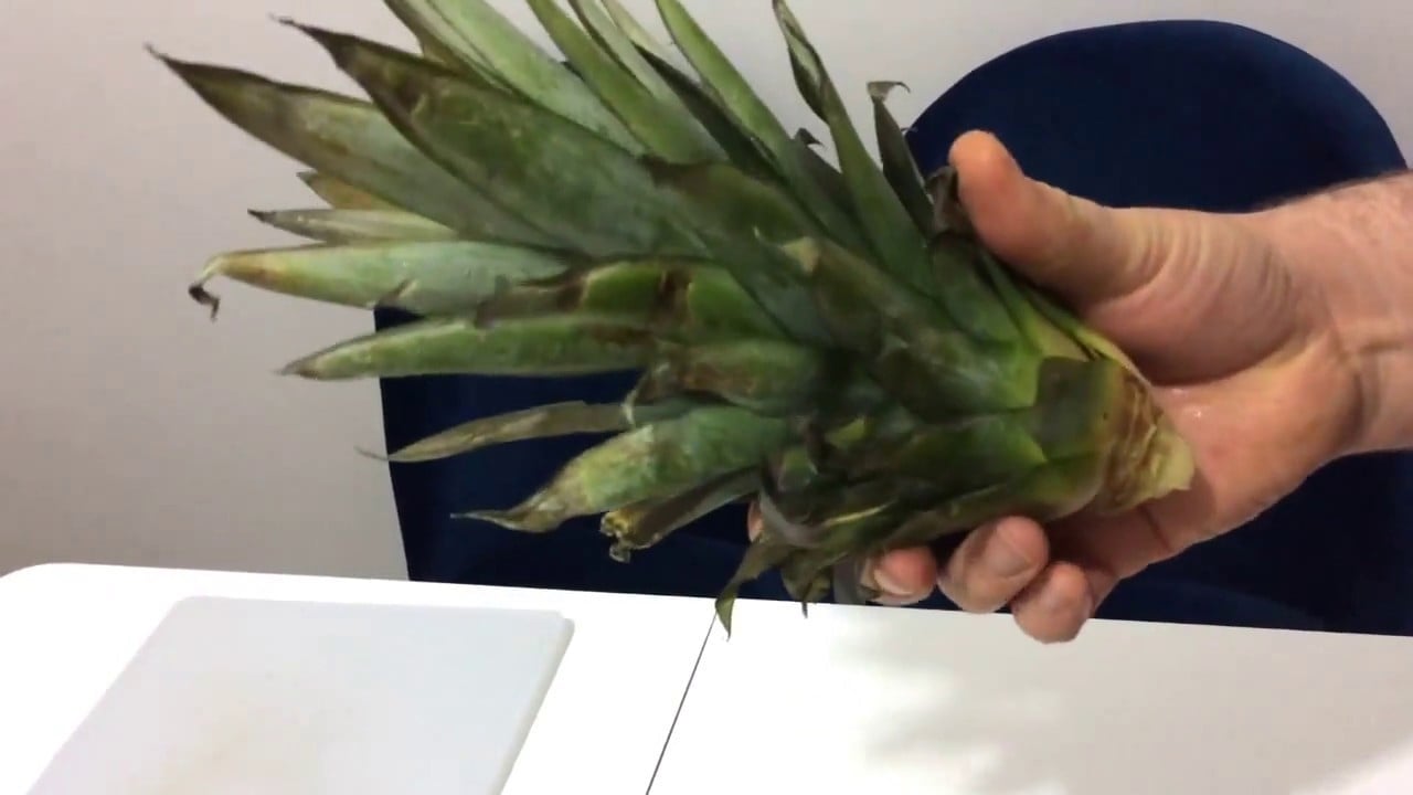 Foto - Çöp diyorlardı: Çöp diye atıyoruz ama inanılmaz faydası var!