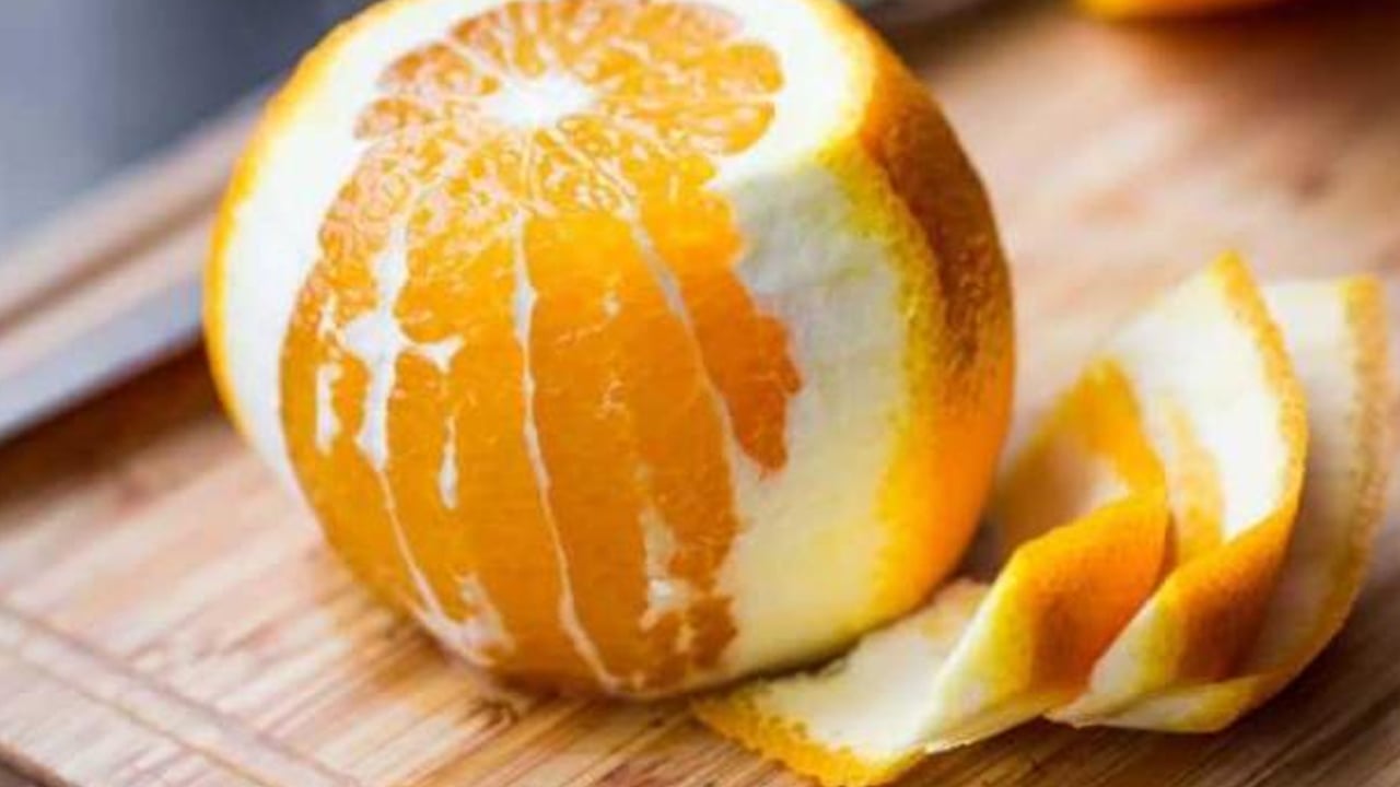 Foto - Çöp diyorlardı: Çöp diye atıyoruz ama inanılmaz faydası var!