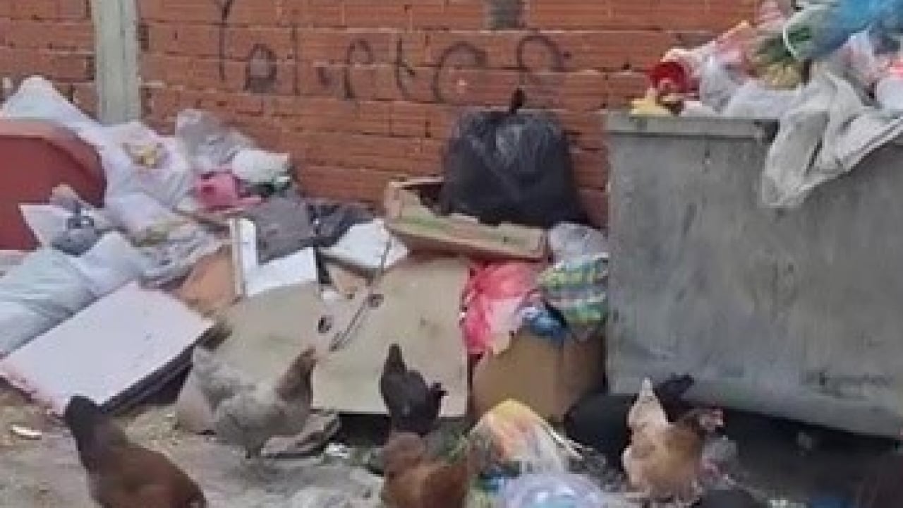 Foto - Çöp konteynerleri taştı, sabırlar taştı! CHP'li belediye hizmette sınıfta kaldı