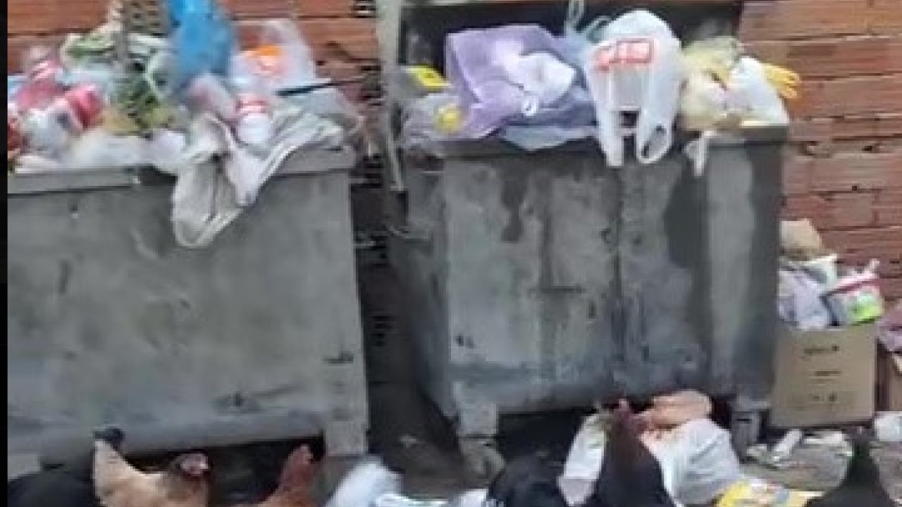 Foto - Çöp konteynerleri taştı, sabırlar taştı! CHP'li belediye hizmette sınıfta kaldı