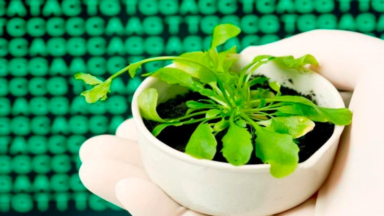 Foto - Çöpe atan bin pişman: Tuvalet kağıdı ruloları bahçede "altına" dönüşüyor