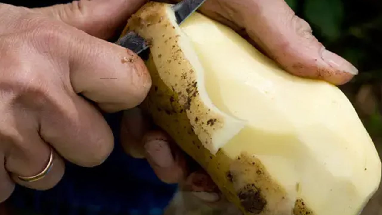 Foto - Çöpe atan pişman olur! Patates kabuklarını dev yapan kullanım yolları! Göz altı torbalarına bunu yapın!