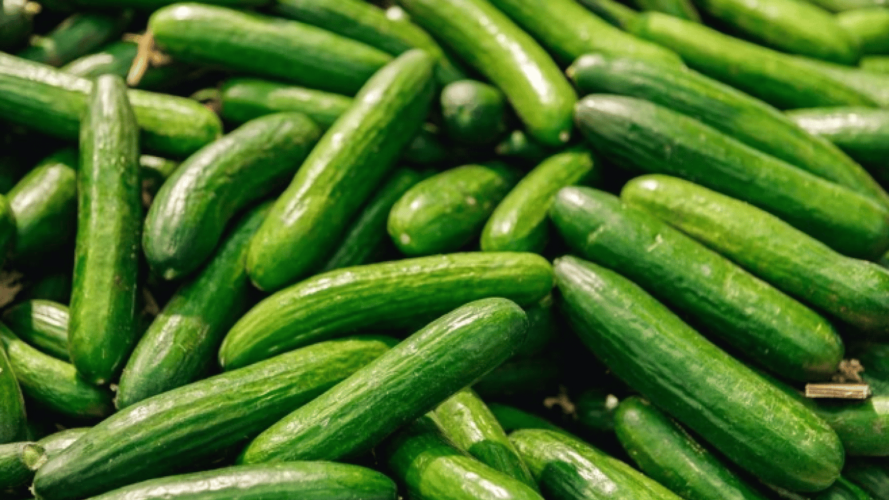 Foto - Çöpe atmak yerine bunu deneyin! Rengi solmuş salatalığı canlandırmanın doğal yolu