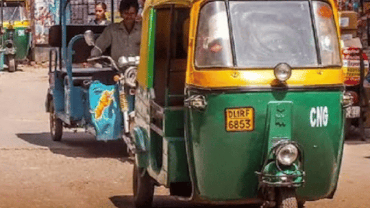 Foto - Çöplere aldırış etmediler: Burası Hindistan değil İzmir!