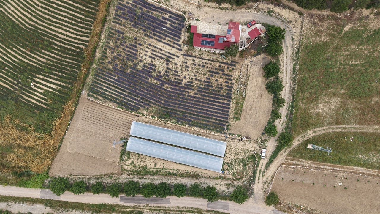 Foto - Çorak arazi üretim üssü oldu! Fekeli kadınlardan hayran bırakan başarı öyküsü