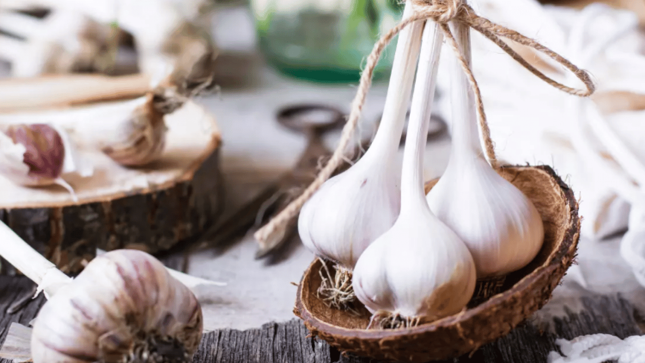 Foto - 3'ünü çorbaya katıp için: Kanseri uzak tutan tarif!