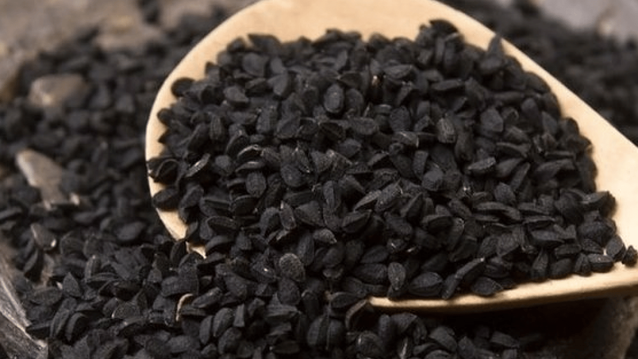 Foto - Çörek otunu çiğnemeden yutmayın: İşte doğru kullanım şekli burada...